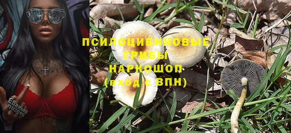 дурь Корсаков